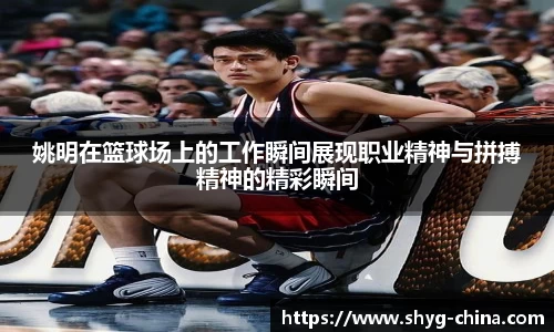 BB贝博登录入口